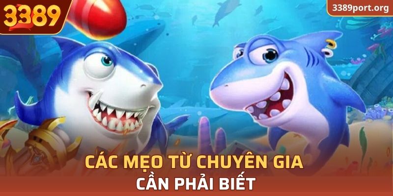 Các mẹo từ chuyên gia cần phải biết